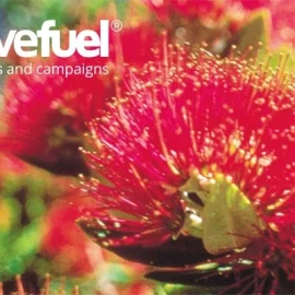 Creative Fuel Design