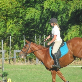 Mercury Bay Pony Club