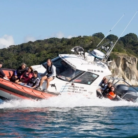 Family fun with Cathedral Cove Scenic Tours book now!