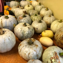 pumpkins coroglen farmers market.jpg
