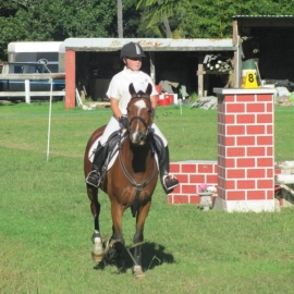 Mercury Bay Pony Club