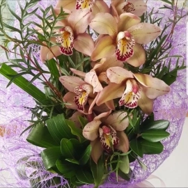 The Gardiner&#039;s Flower Shed - Whitianga Florist
