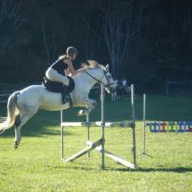 Mercury Bay Pony Club
