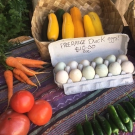 Fresh eggs Coroglen Farmers Market Coromandel Peninsula