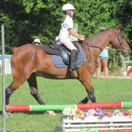 Mercury Bay Pony Club