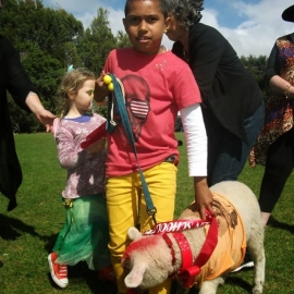 Coroglen School Pet Day