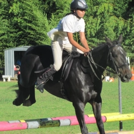 Mercury Bay Pony Club