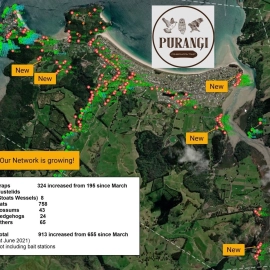 The Purangi Conservation Trust