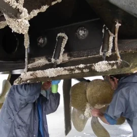 M.Toia Boat Solutions Ltd