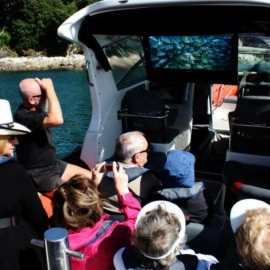 Viewing fish via underwater camera on our onboard large screen tv