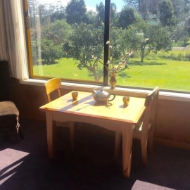 Table and chairs at window