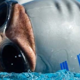 Mercury Bay Amateur Swimming Club Inc.
