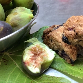 Figs and slice