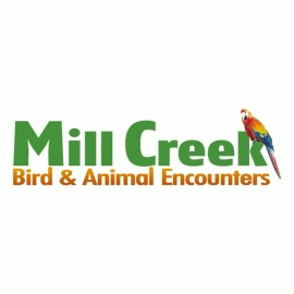 Mill Creek Bird & Animal  Encounters