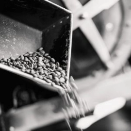 Coffee beans