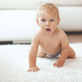 Master Carpet Cleaning 2018 Ltd