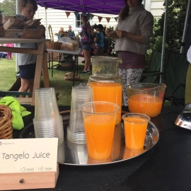 fresh juice Coroglen Farmers Market Coromandel Peninsula.jpg