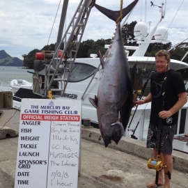 Mercury Bay Game Fishing club weigh in Whitianga wharf