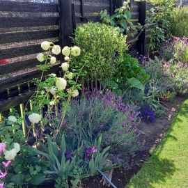 Gardenscapes Whitianga