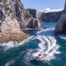 Cathedral Cove Cruise Mercury Bay and Whitianga area
