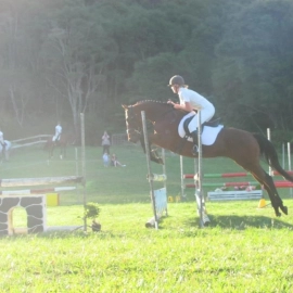 Mercury Bay Pony Club