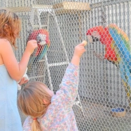 Feeding the Birds at Mill Creek Bird Park