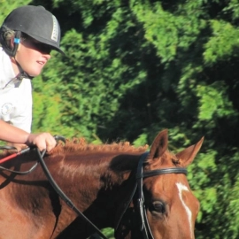 Mercury Bay Pony Club