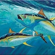 Fish souvenir placemats