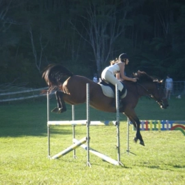 Mercury Bay Pony Club