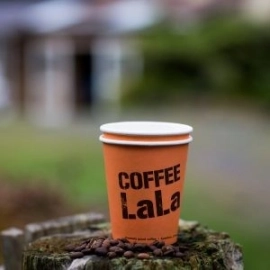 Paper cup