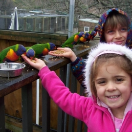 Feeding the birds at Mill Creek Park