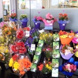 Flowers