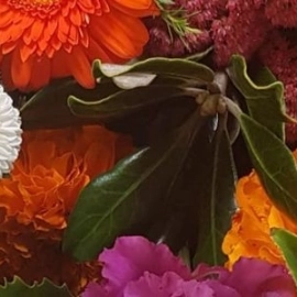 The Gardiner's Flower Shed - Whitianga Florist