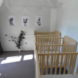 Cots in room