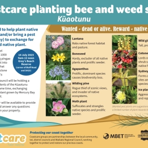 Coastcare planting and working bee Kuaotunu