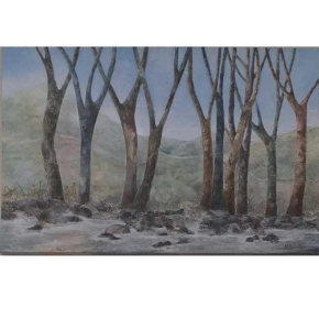 Whitianga Art Group Summer Exhibition