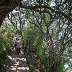 ECHO Walking Festival