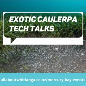 Exotic Caulerpa Community Information Forum and Tech Talks