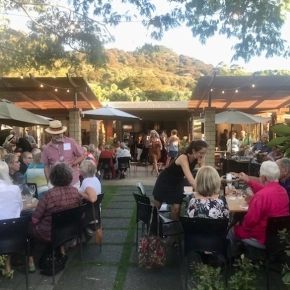 Mercury Bay Art Escape – Gala Opening Event