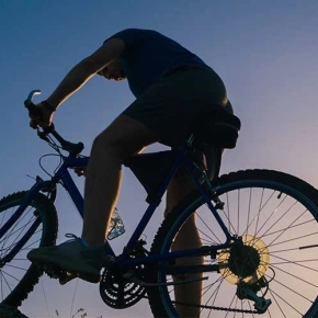 Whitianga Bike Park