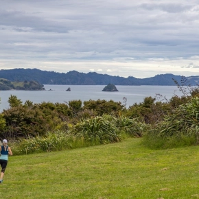 Whitianga Marathon & Half Marathon