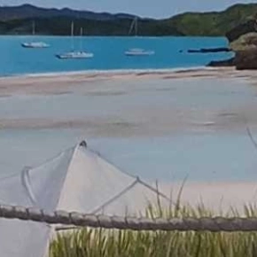 Whitianga Art Group Summer Exhibition