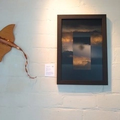 Mercury Bay Art Escape – Showcase Exhibition