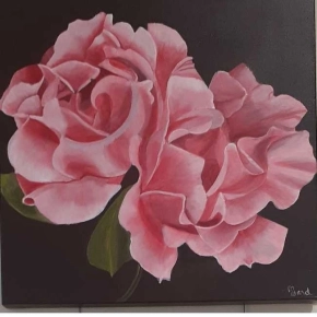 Whitianga Art Group Summer Exhibition