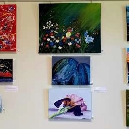 Whitianga Art Centre Exhibition