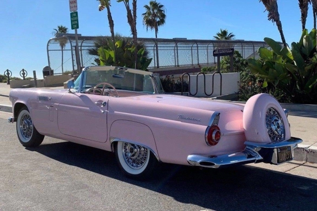 Beach Hop to &#039;Power Cruise&#039; to Thames