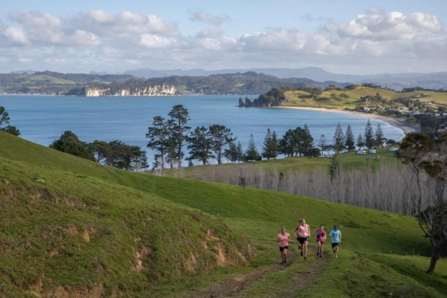 New Kiwi Fun Run and Walk For School Holidays