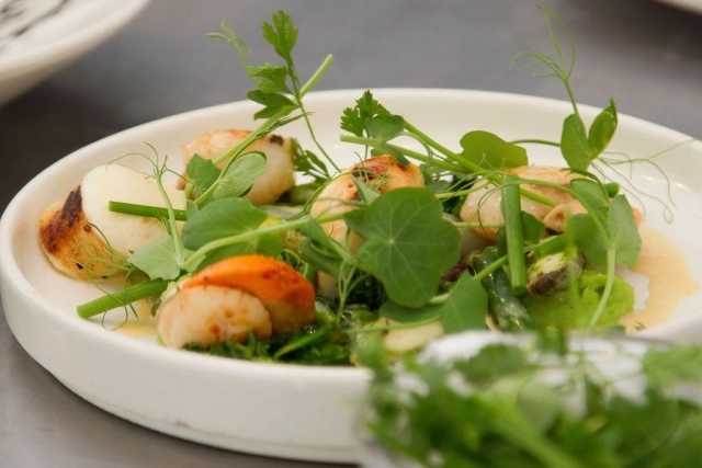 Whitianga Scallop Festival returns for 2021