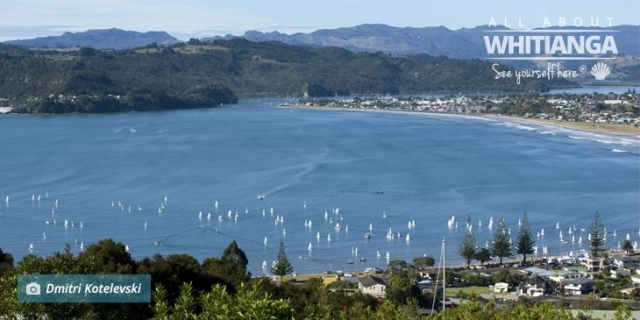 Things to do and see in Whitianga on Anniversary and Waitangi weekend