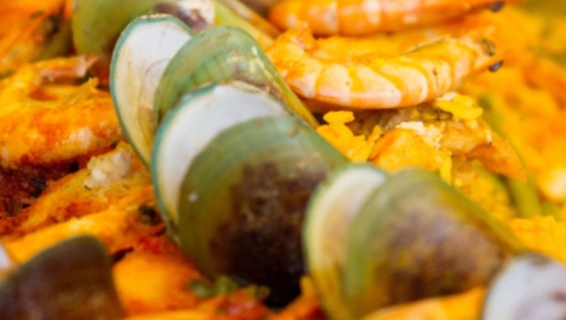 The Whitianga Oceans Festival returns for 2023